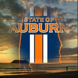 Meet your Posher, Ronnie